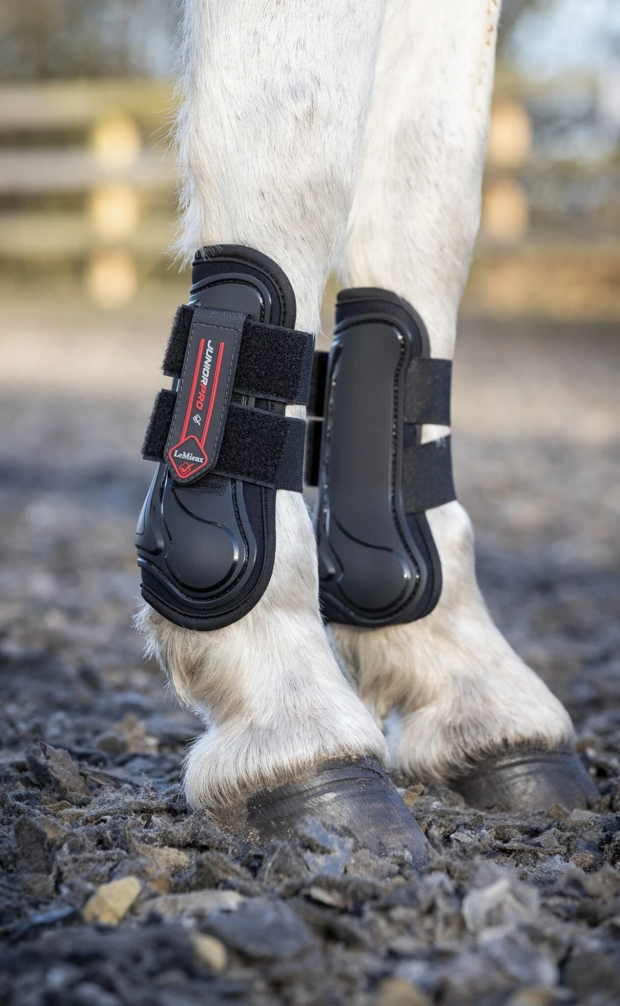 LeMieux Junior Pro Tendon Boots Black 3 LeMieux Junior Pro Tendon Boots Black
