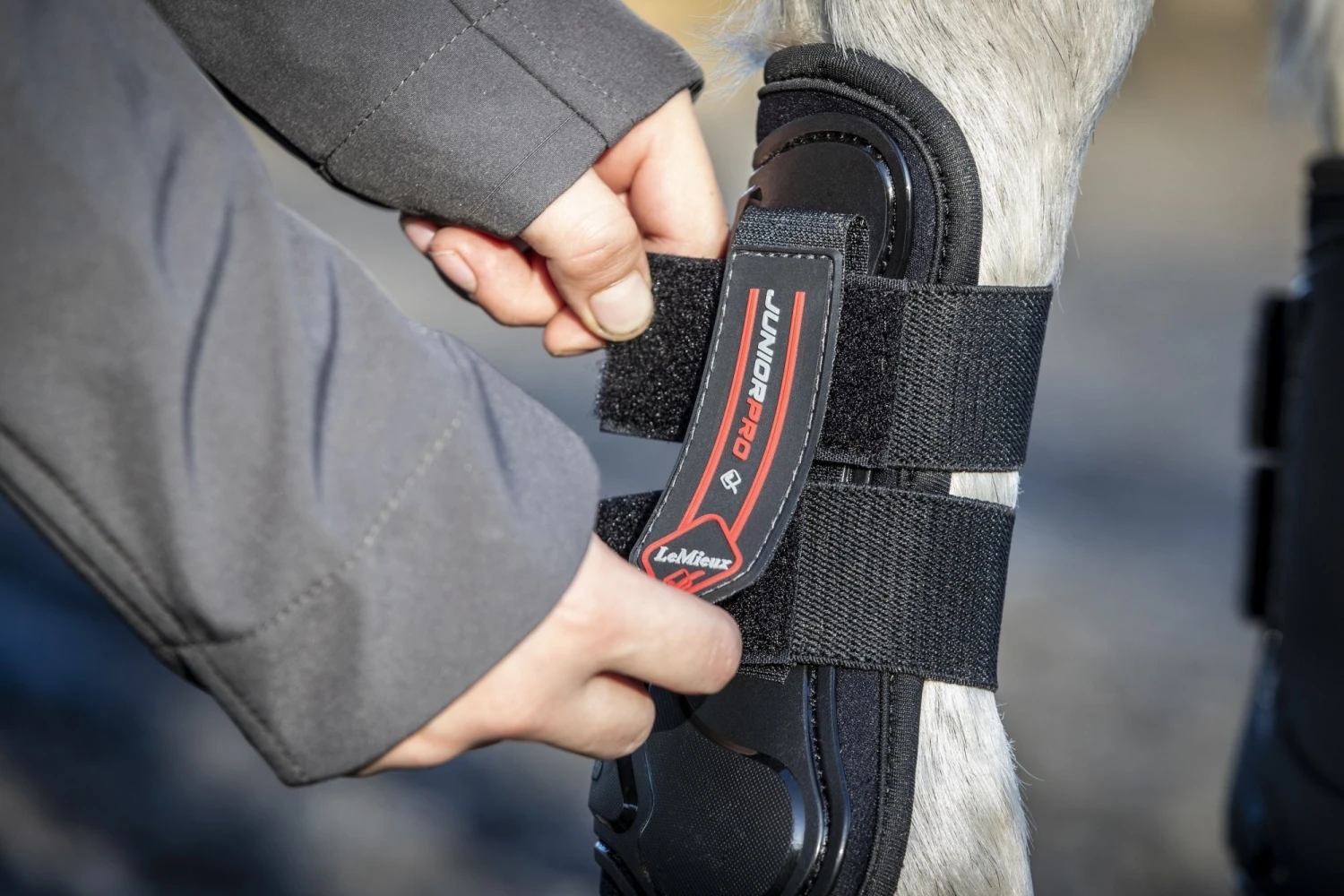 LeMieux Junior Pro Tendon Boots Black 4 LeMieux Junior Pro Tendon Boots Black - Image 2