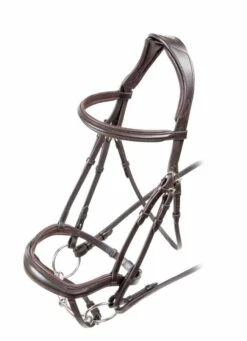 Rapida Ergonomic Flash Bridle -Saddle Shop 10252 17016