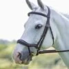 Rapida Ergonomic Flash Bridle -Saddle Shop 10252 27388