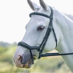 Rapida Ergonomic Flash Bridle -Saddle Shop 10252 27389