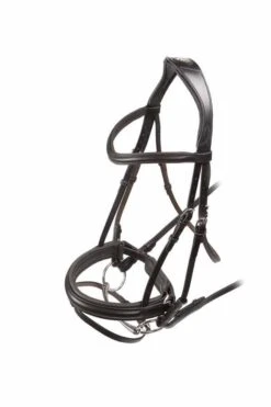Rapida Dressage Bridle With Flash -Saddle Shop 10254 17018