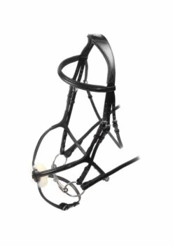 Rapida Grackle Bridle 7 Rapida Grackle Bridle -Saddle Shop 10255 17019