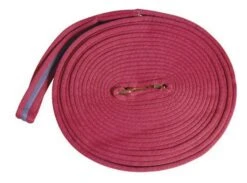 Kincade Two Tone Padded Lunging Rein