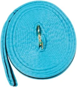Kincade Brights Two Tone Padded Lunging Rein