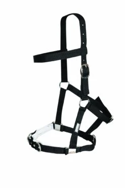 Kincade Nylon Padded Lunge Cavesson