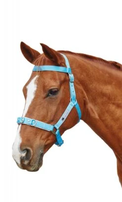 Kincade Brights Nylon Padded Lunge Cavesson