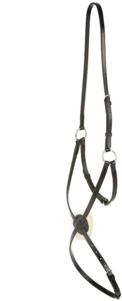 Collegiate Grackle Noseband IV