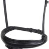 Collegiate Mono Crown Flash Noseband