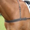 Gara Elastic Breastgirth -Saddle Shop 10623 17724