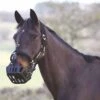 Shires Greenguard Headcollar -Saddle Shop 10631 17739