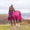 Shires Highlander Original 300 Combo Turnout Rug 2 Shires Highlander Original 300 Combo Turnout Rug -Saddle Shop 10640 17749