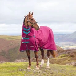 Shires Highlander Original 300 Combo Turnout Rug