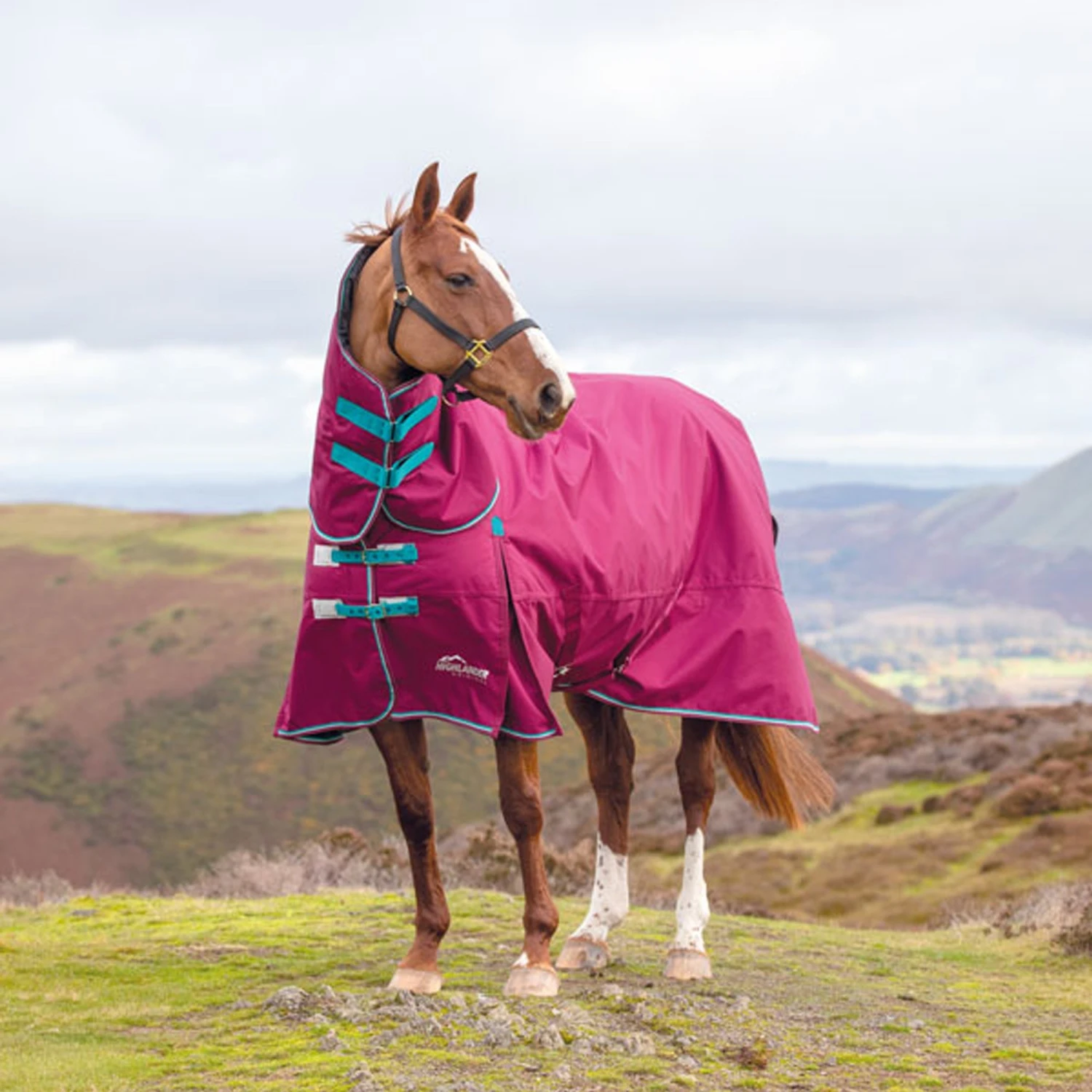 Shires Highlander Original 300 Combo Turnout Rug 3 Shires Highlander Original 300 Combo Turnout Rug