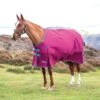Shires Highlander Original 300 Turnout Rug -Saddle Shop 10641 17750
