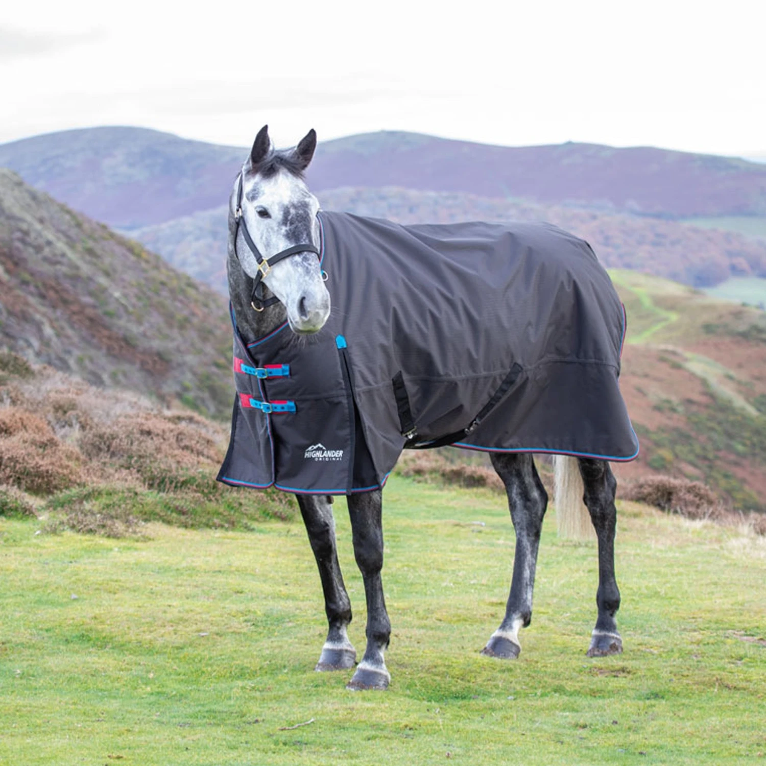 Shires Highlander Original 200 Turnout Rug 3 Shires Highlander Original 200 Turnout Rug