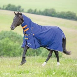Shires Highlander Original 100 Combo Turnout Rug