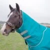 Shires Tempest Plus 200 Turnout Neck Cover 1 Shires Tempest Plus 200 Turnout Neck Cover -Saddle Shop 10653 17766