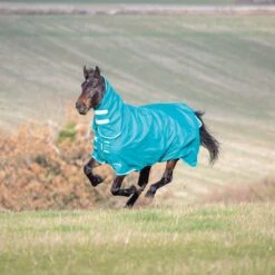 Shires Tempest Plus 200 Combo Turnout Rug