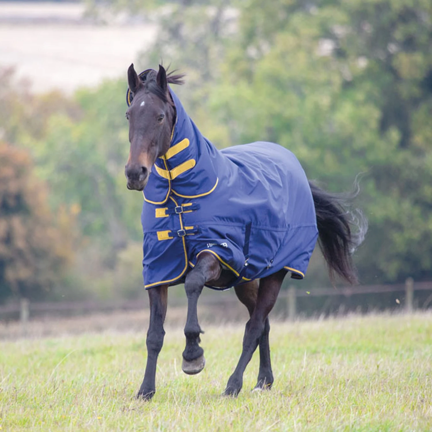 Shires Tempest Original 300 Combo Turnout Rug 3 Shires Tempest Original 300 Combo Turnout Rug