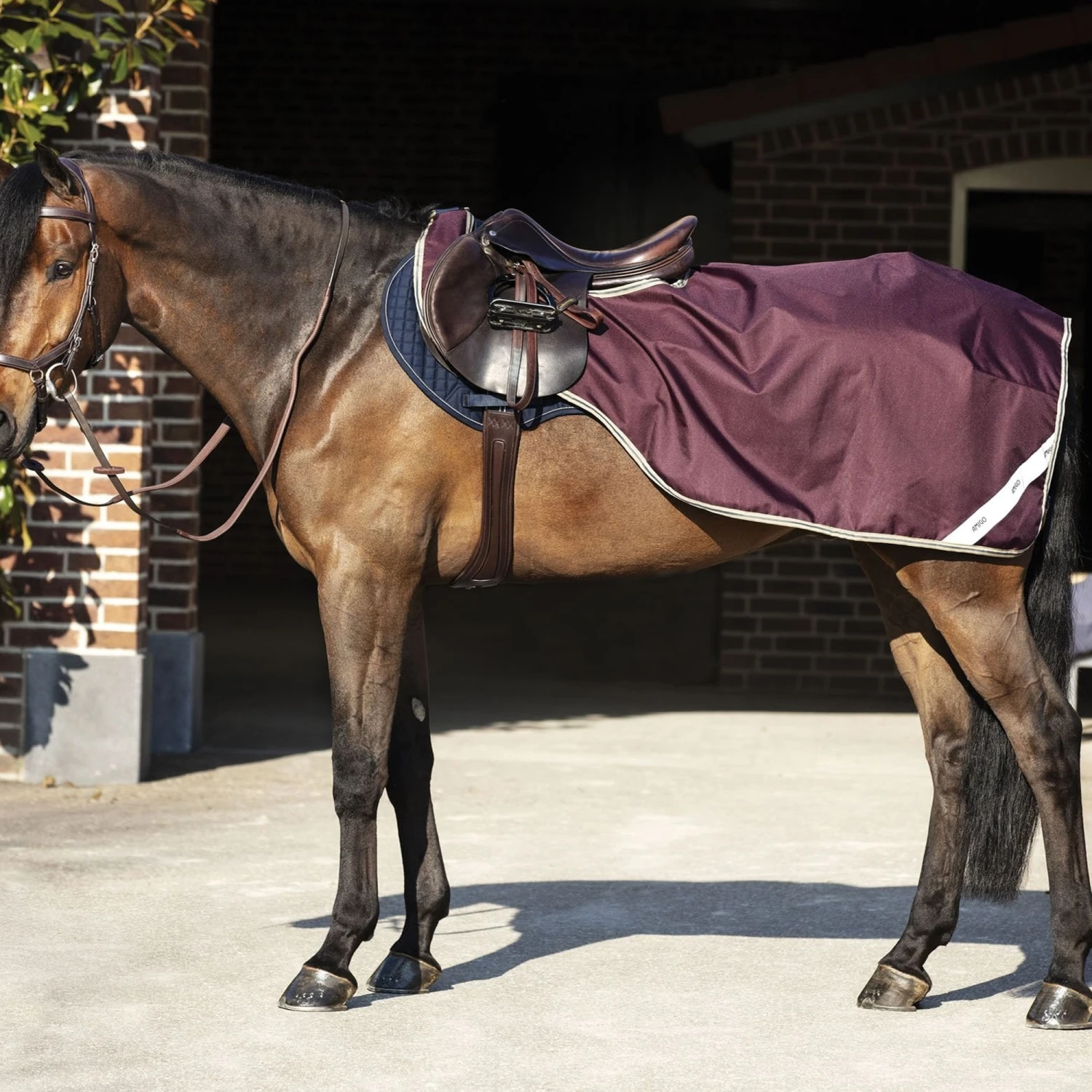 Horseware® Amigo® Ripstop Competition Sheet 3 Horseware® Amigo® Ripstop Competition Sheet