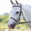 Rapida Hunter Cavesson Bridle -Saddle Shop 10909 27396
