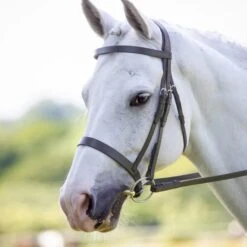 Rapida Hunter Cavesson Bridle