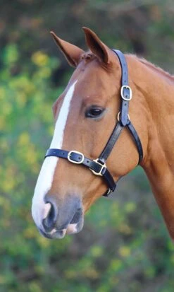 Velociti Gara Fully Adjustable Leather Headcollar