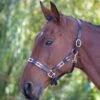 Velociti Gara Leather Polo Headcollar -Saddle Shop 11025 18552