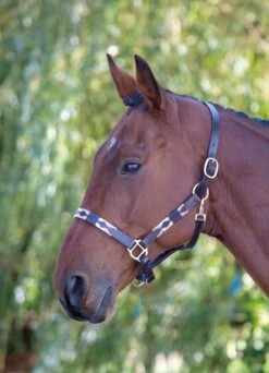 Velociti Gara Leather Polo Headcollar