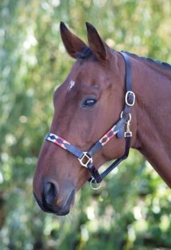 Velociti Gara Leather Polo Headcollar -Saddle Shop 11025 18555