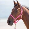 Shires Topaz Nylon Headcollar -Saddle Shop 11030 18563
