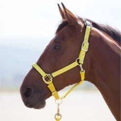 Shires Topaz Nylon Headcollar -Saddle Shop 11030 18567