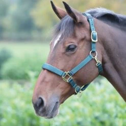 Shires Topaz Nylon Headcollar -Saddle Shop 11030 18569