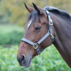 Shires Topaz Nylon Headcollar -Saddle Shop 11030 18571
