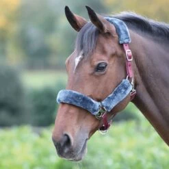 Shires Fleece Lined Headcollar -Saddle Shop 11031 18574