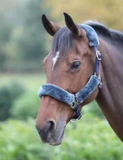 Shires Fleece Lined Headcollar -Saddle Shop 11031 18575