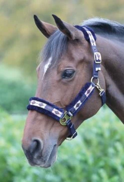 Shires Polo Fleece Lined Headcollar -Saddle Shop 11032 18577