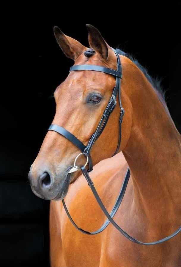 Shires Salisbury Berrington Bridle 4 Shires Salisbury Berrington Bridle - Image 2