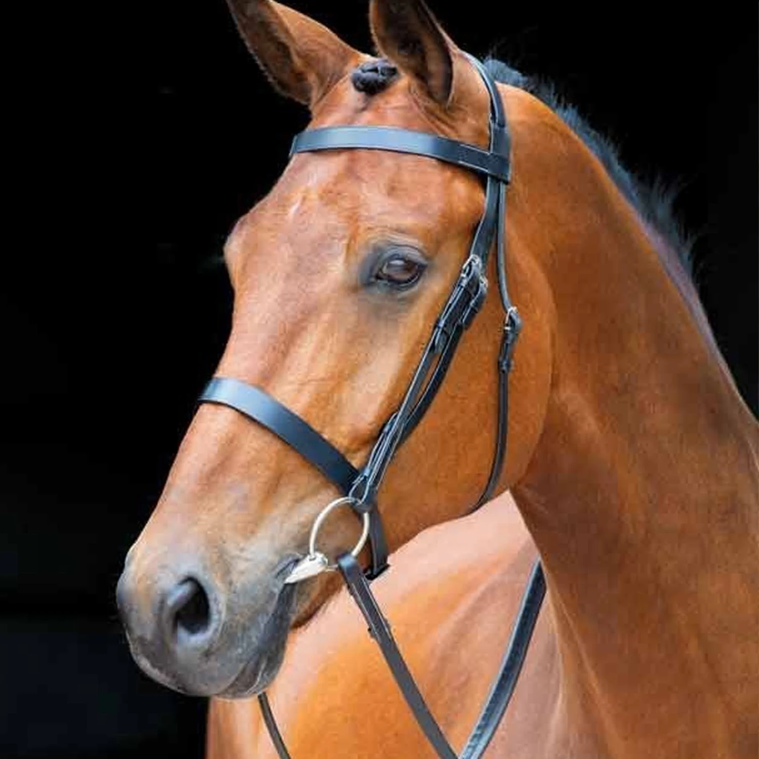 Shires Salisbury Berrington Bridle 3 Shires Salisbury Berrington Bridle