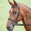 Shires Salisbury Bodenham Bridle 1 Shires Salisbury Bodenham Bridle -Saddle Shop 11162 18814