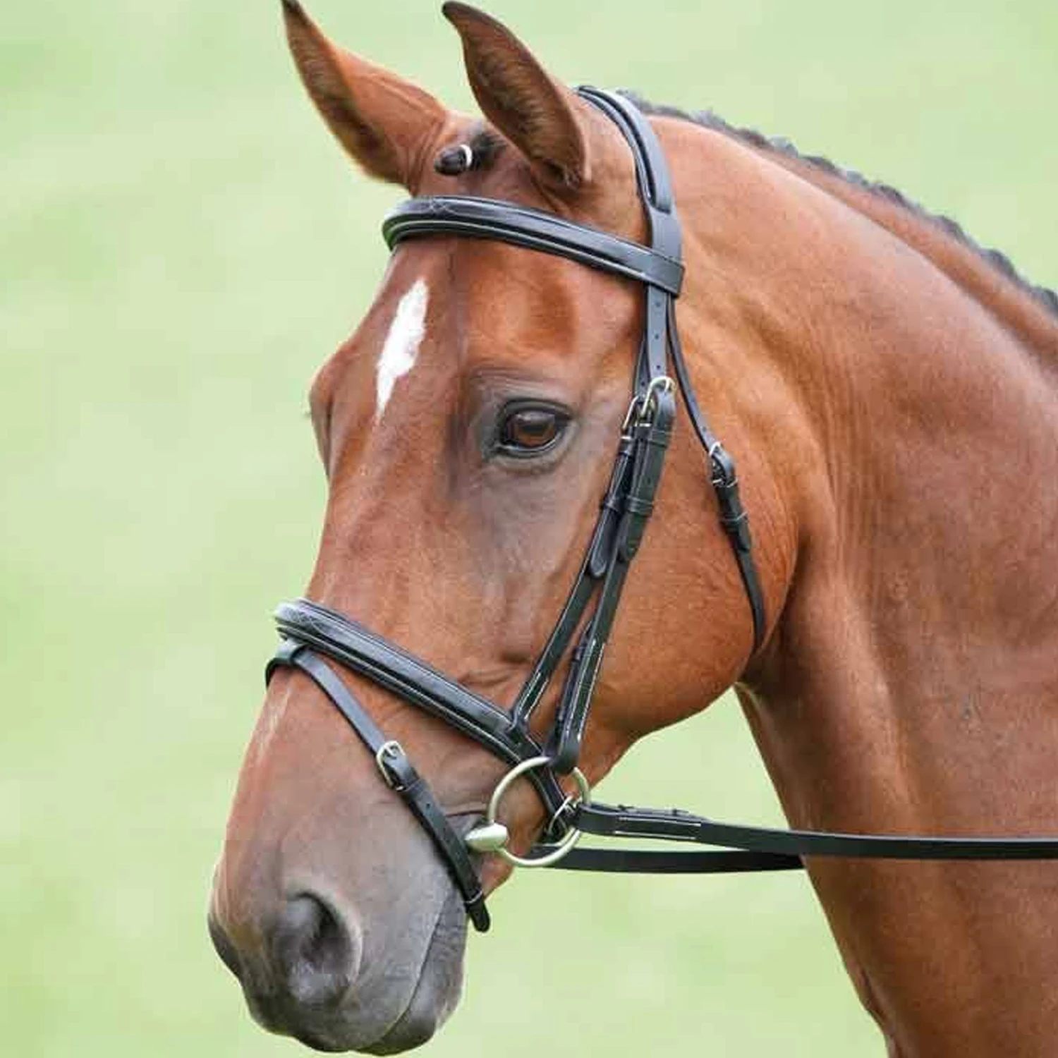 Shires Salisbury Bodenham Bridle 3 Shires Salisbury Bodenham Bridle