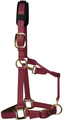 KM Elite Padded Headcollar -Saddle Shop 1116 18806