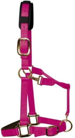 KM Elite Padded Headcollar -Saddle Shop 1116 18807