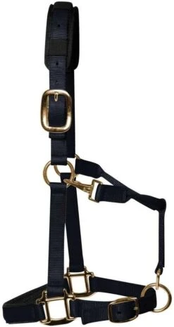 KM Elite Padded Headcollar -Saddle Shop 1116 18809