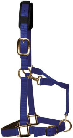 KM Elite Padded Headcollar -Saddle Shop 1116 18810