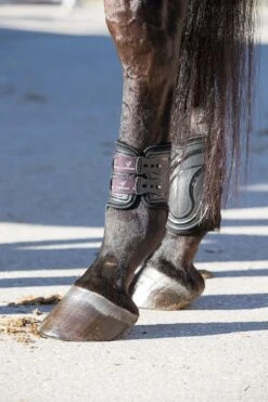 LeMieux Impact Responsive Fetlock Boots Black -Saddle Shop 11290 19054