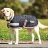 Weatherbeeta 1200D Therapy-Tec Dog Coat -Saddle Shop 11349 19210