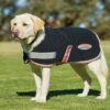 Weatherbeeta Therapy-Tec Fleece Dog Coat 1 Weatherbeeta Therapy-Tec Fleece Dog Coat -Saddle Shop 11351 19213