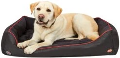 Weatherbeeta Therapy-Tec Dog Bed